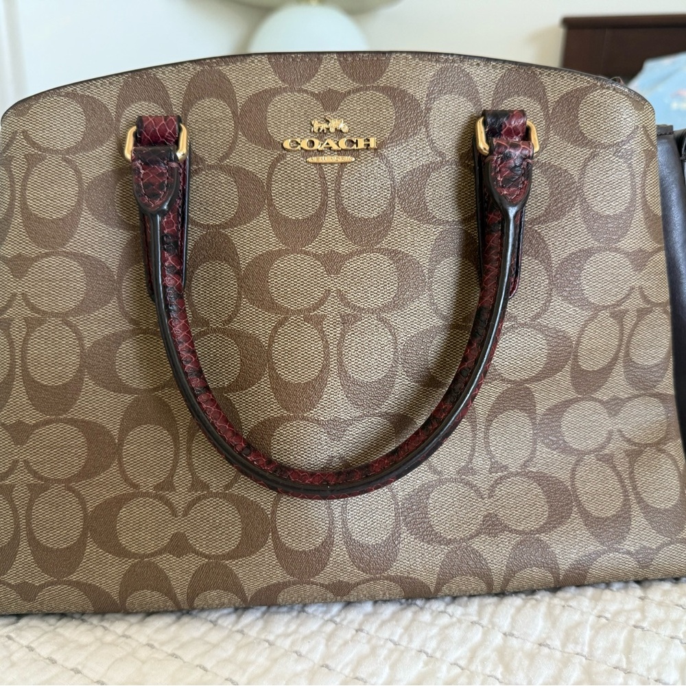 Coach Brown Signature Tote Bag